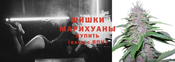 ALPHA PVP Инсар