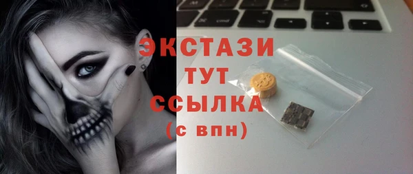 ALPHA PVP Инсар