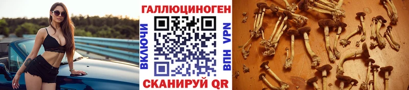 Галлюциногенные грибы Cubensis  Купить  Печора 
